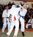 Дайдо-джуку (жесткий поединок) [спорт]