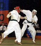 Дайдо-джуку (контактная техника) [спорт]