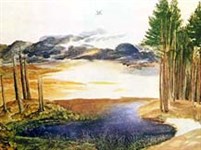 Дюрер Альбрехт (Лесной пруд)