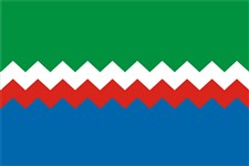 Елизовский район (флаг)