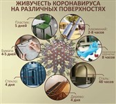 Живучесть коронавируса