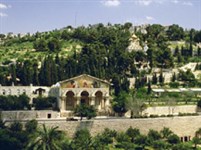 Иерусалим (Масличная гора)