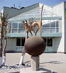 Караганда («Кошка на шаре»)