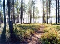 Карелия (республика) (Кемская волость)