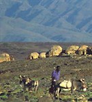 Кения (близ озера Туркана)