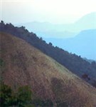 Кения (западная Кения)