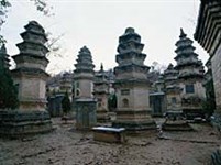 Китай (лес пагод Шаолинь)