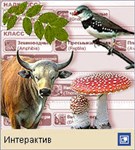 Классификация живых существ