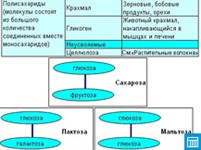 Классификация углеводов
