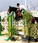 Конный спорт (конкур) [спорт]