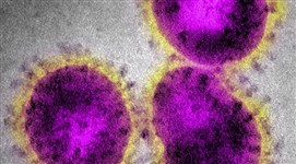 Коронавирус (коллаж)