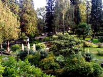 Краснодарский край (Туапсе. Парк)