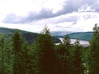 Красноярский край (Эвенкия. Подкаменная Тунгуска)