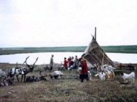 Красноярский край (стойбище)