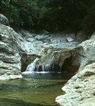 Крымские Горы (Горный ручей)