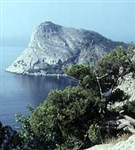 Крымский Полуостров (бухта Новый свет)