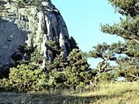 Крымский Полуостров (подножье горы Сокол)