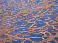 Лена (дельта)