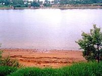 Ленинградская битва (Дубровка)