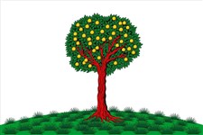 Ломоносов (флаг)