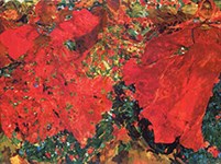 Малявин Филипп Андреевич (Вихрь)