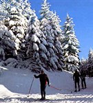 Марбах (близ Штутгарта)