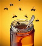Мед (мед и пчелы)