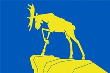 Миасс (флаг)