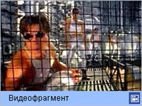 На-На (Прикинь, да)