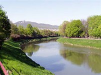 Нитра (река)