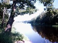 Новгородская область (Вишера)