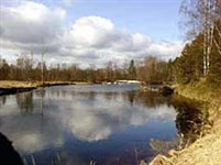 Новгородская область (Мста)