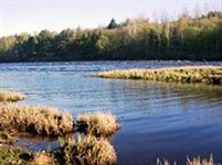 Новгородская область (река Мста)