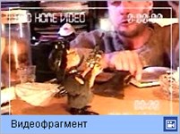 Ном (Мушища)