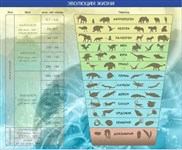 Панорамы "Эволюция жизни"