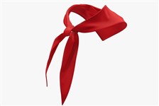 Пионерский галстук