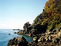 Приморский Край (мыс Пашинникова)