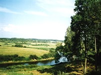 Псковская область (Тригорское)