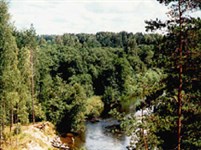 Псковская область (река Великая)