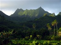 Раротонга, Те Манга, остров Кука (Новая Зеландия)