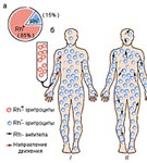 Резус-фактор
