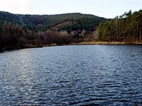 Рейнланд-Пфальц (озеро Св. Мартина).