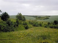 Ровенская область