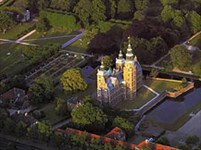 Росенборг (вид)