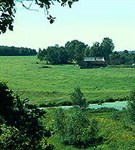 Россия (Русская равнина. Река Пра в Мещере)