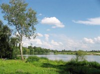 Рось (Киевская область)
