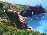 Севастополь (мыс Фиолент)