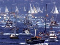 Сидней (гонки на яхтах)