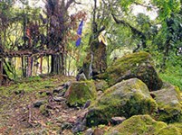 Сикким (Каби Лонгсток)