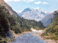 Сикким (долина Юмтханг)